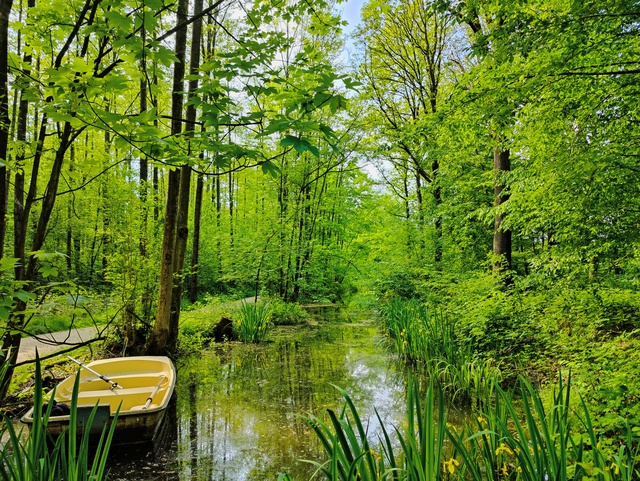 Prachtig groene weelde rondom al het vaarwater